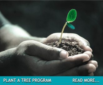 PLANT-A-TREE-BUTTON-PICTURE